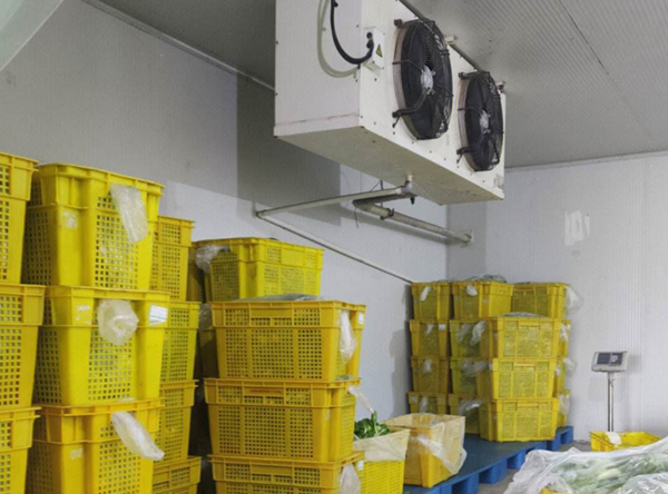 东台保鲜冷库安装设计